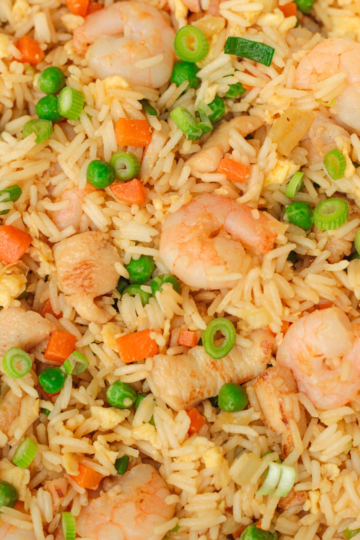 Shrimp and Chicken Fried Rice - Good Food Discoveries