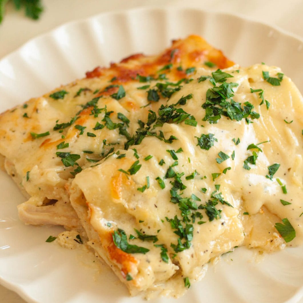 Chicken Alfredo Lasagna Rolls