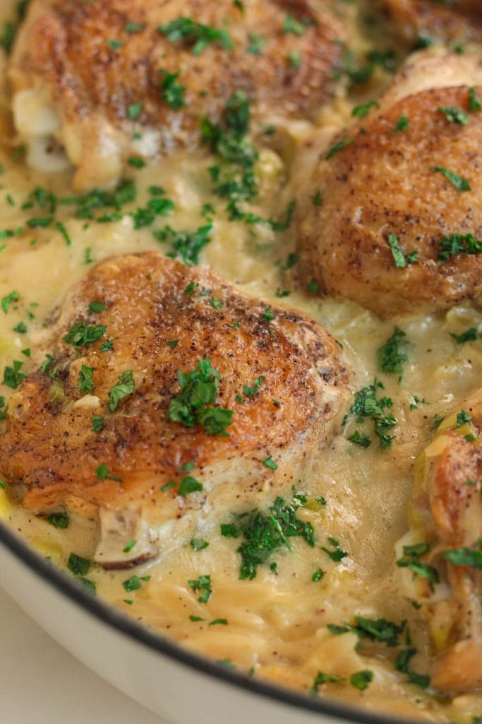  one pot leek chicken orzo